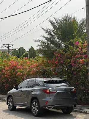 Lexus RX 2018 Gray