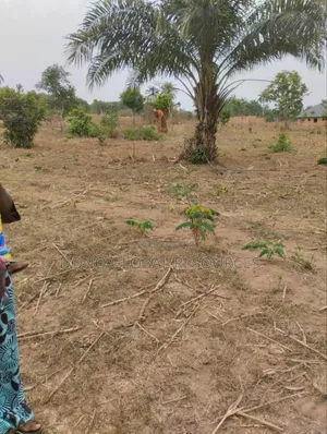 2 Plots of Land for Sale
