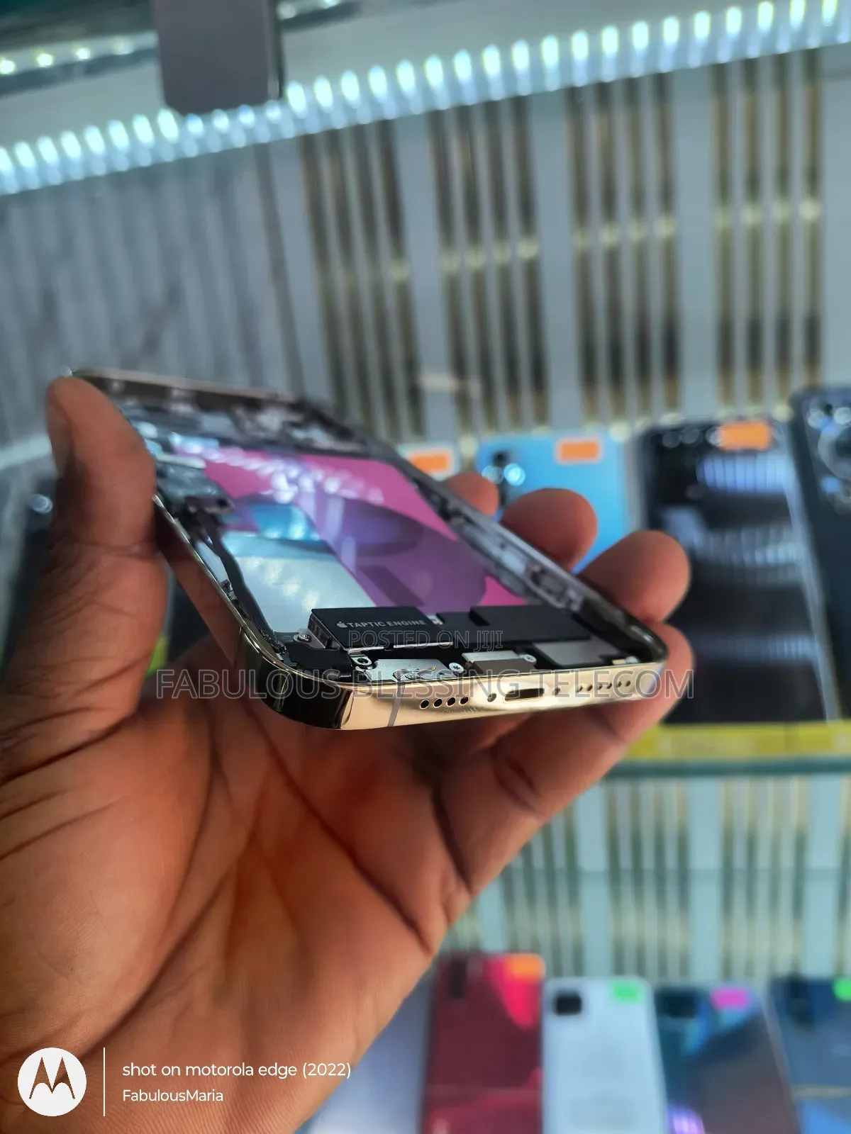 Complete iPhone 12 Pro Max Carcass