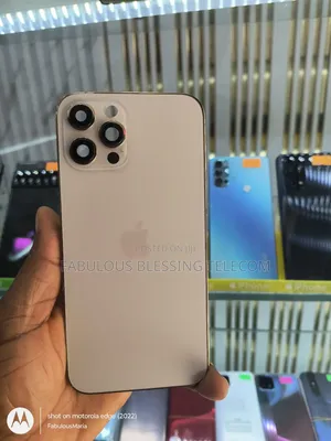 Complete iPhone 12 Pro Max Carcass