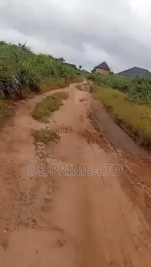 One Plot of Land