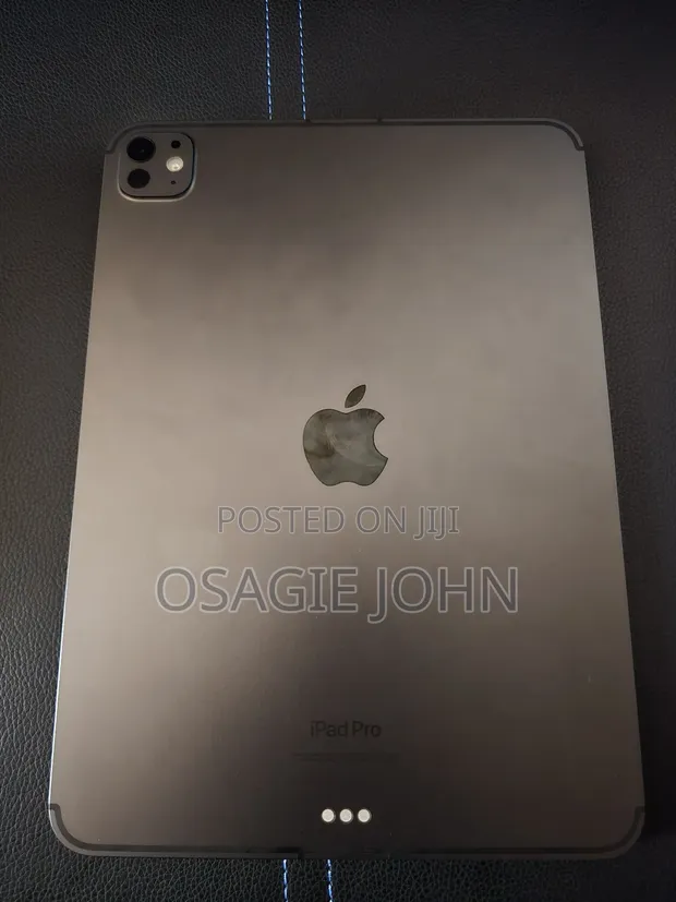 Apple iPad Pro 256 GB Gray