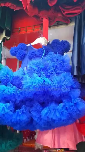 Girls Blue Princess Ball Gown
