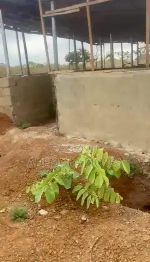 Almost Completed Pig Farm- Convertible