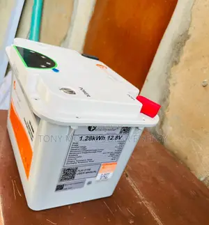 1.28kwh 12v Felicity Lithium Battery