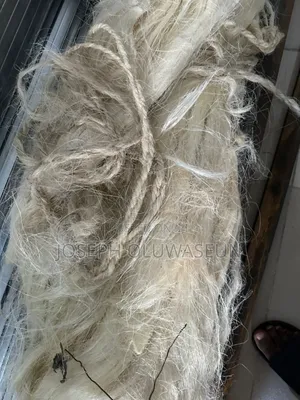 Filass And Pop Materials