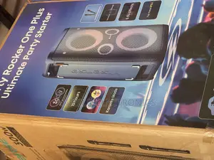Hisense 300 Watts Party Rocker