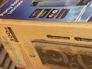 Hisense 300 Watts Party Rocker