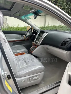 Lexus RX 350 2009 Silver