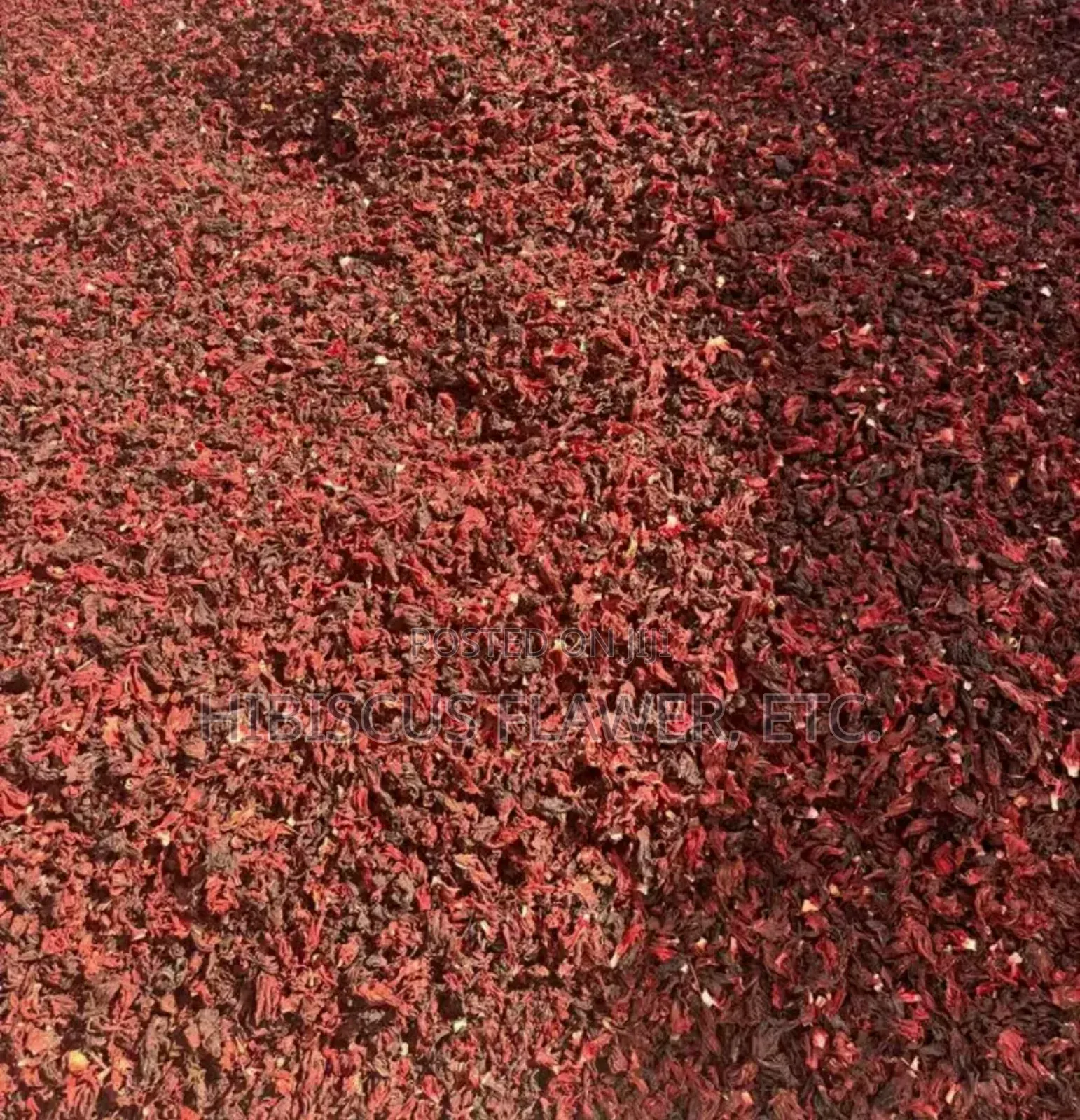 Hibiscus Flawer Zobo