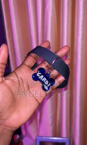 Pet Customized Tag