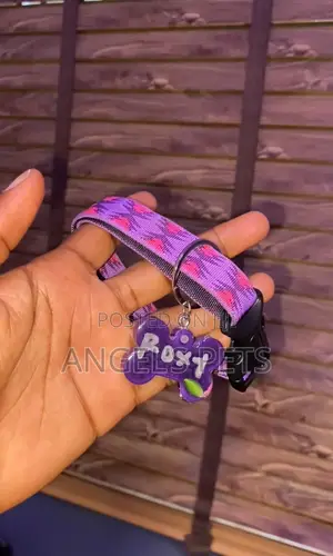 Pet Customized Tag