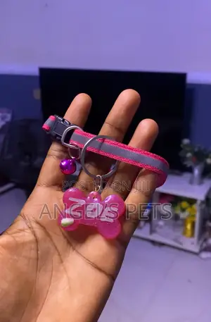 Pet Customized Tag