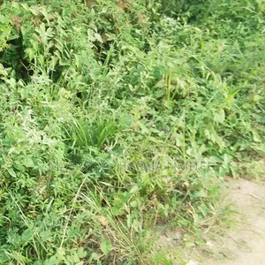 Joint Venture Land Available