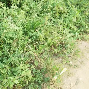 Land Available for Sale With Demolish Able Structure