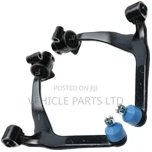 Lower Arm for Infiniti Fx35/Fx45