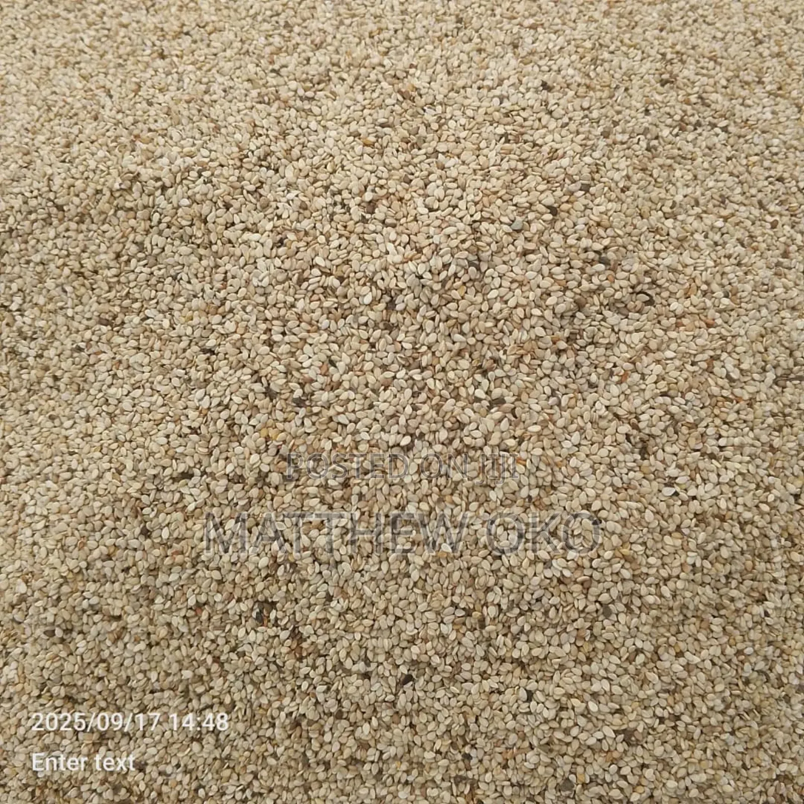 Sesame Seeds