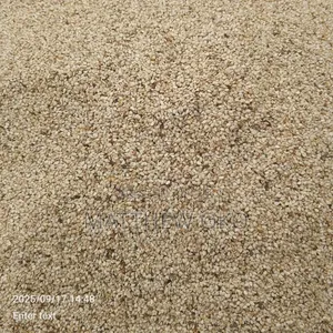 Sesame Seeds