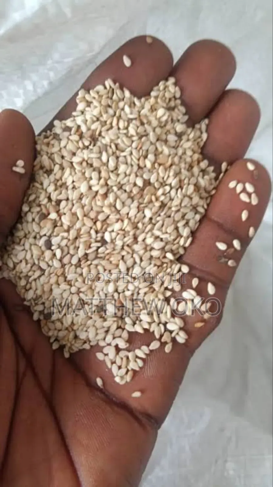 Sesame Seeds