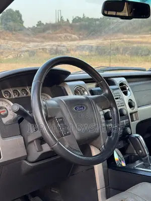 Ford F-150 2009 Silver