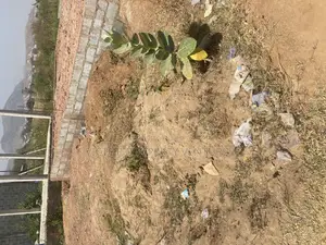 Warehouse Plot