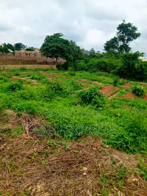 Plot of Land for Sale in Akobo, Olohunda Ibadan
