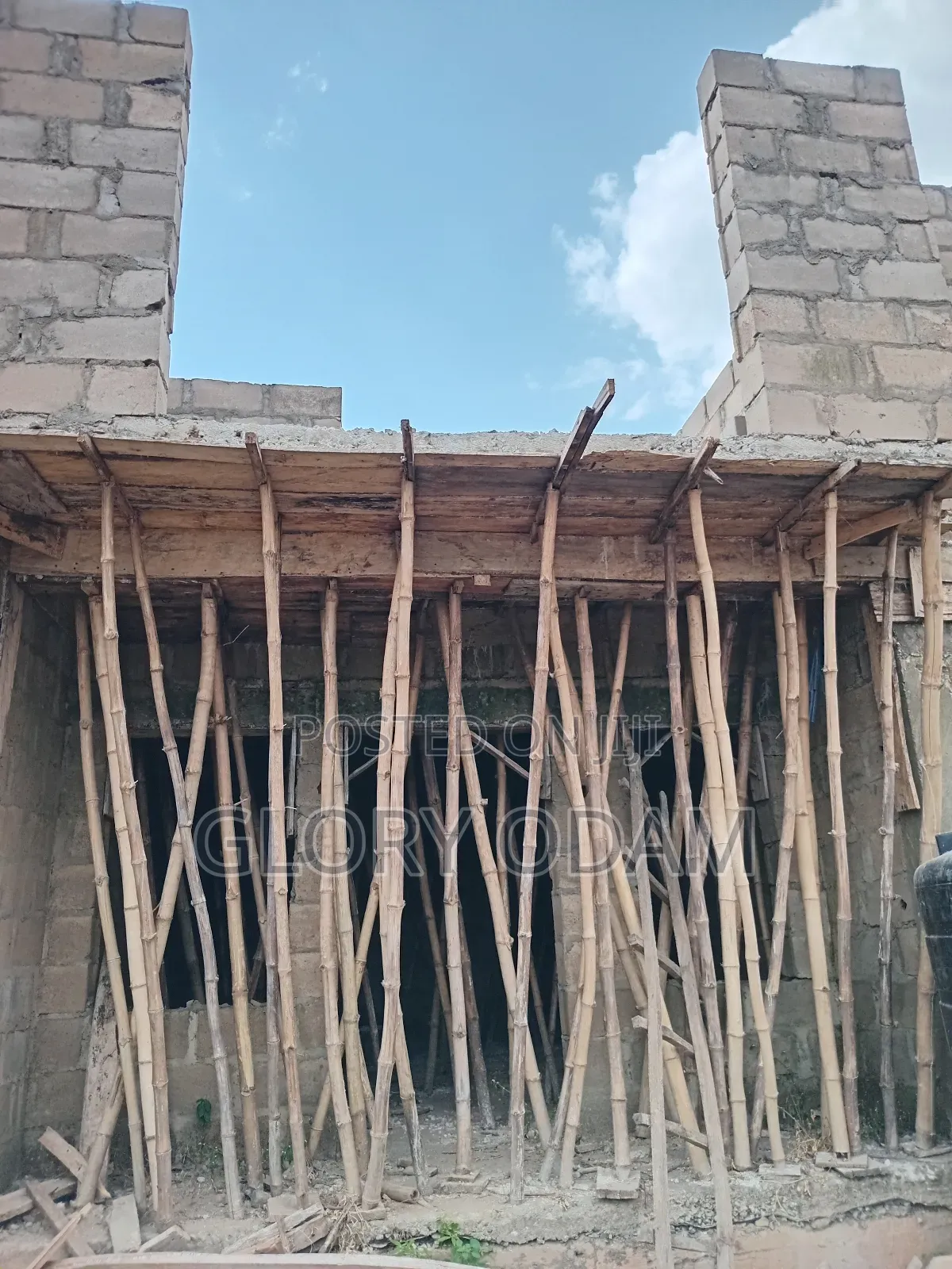 New Bamboo