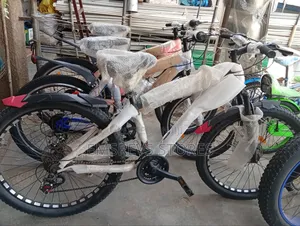 Adult Bicycle, Bicycle