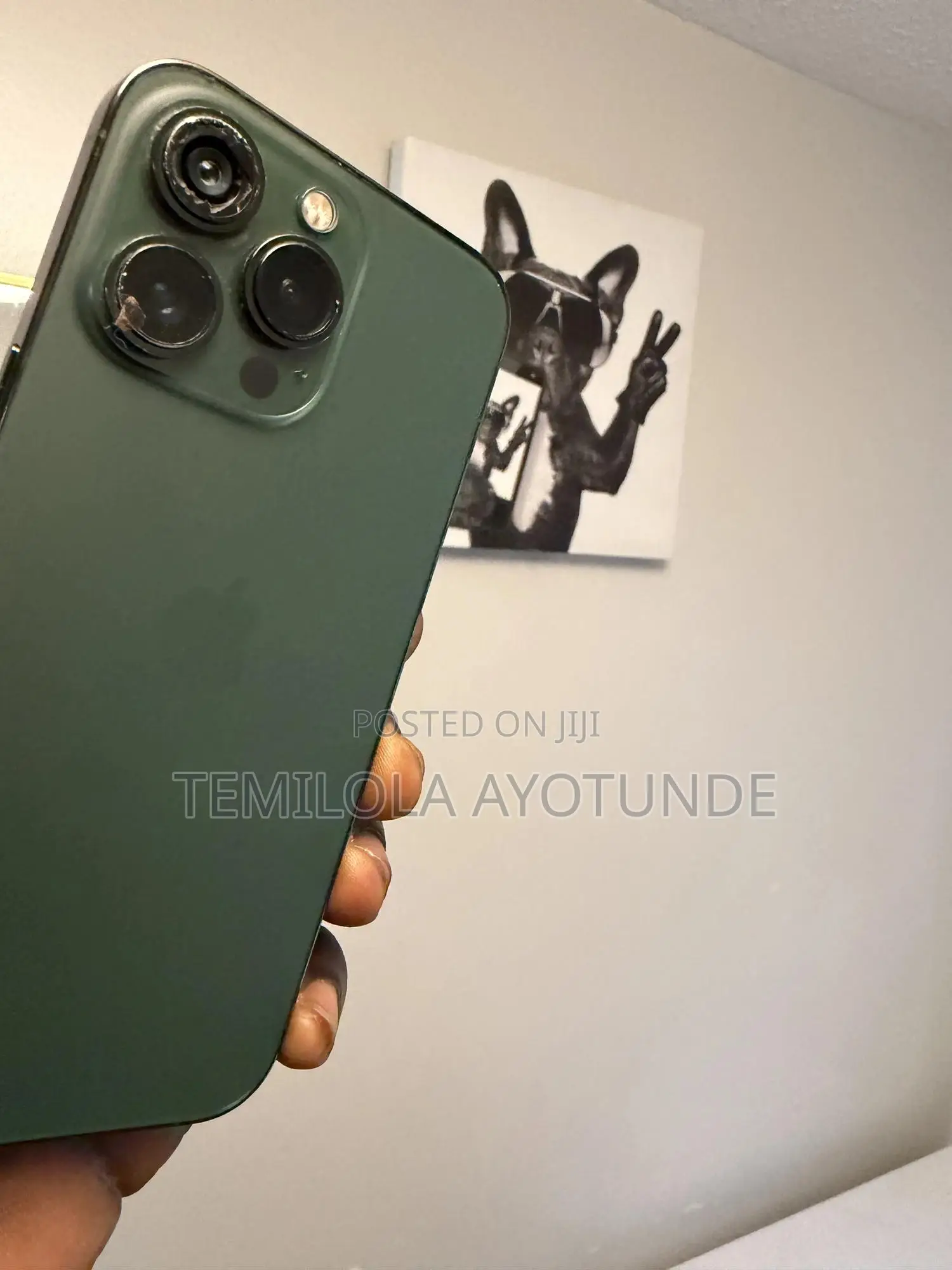 Apple iPhone 13 Pro 128 GB Green