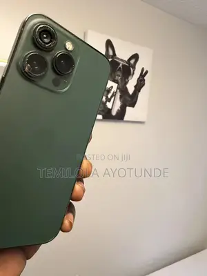 Apple iPhone 13 Pro 128 GB Green