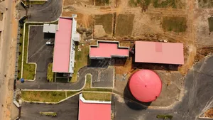 Drone Pilot Service