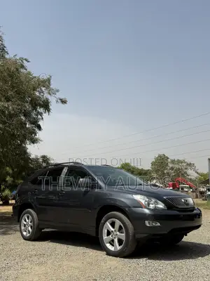 Lexus RX 350 2007 Gray