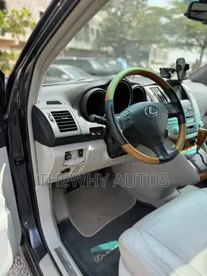 Lexus RX 350 2007 Gray