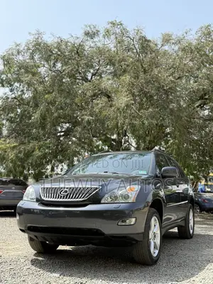 Lexus RX 350 2007 Gray