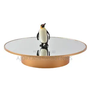 25cm Turntable Available