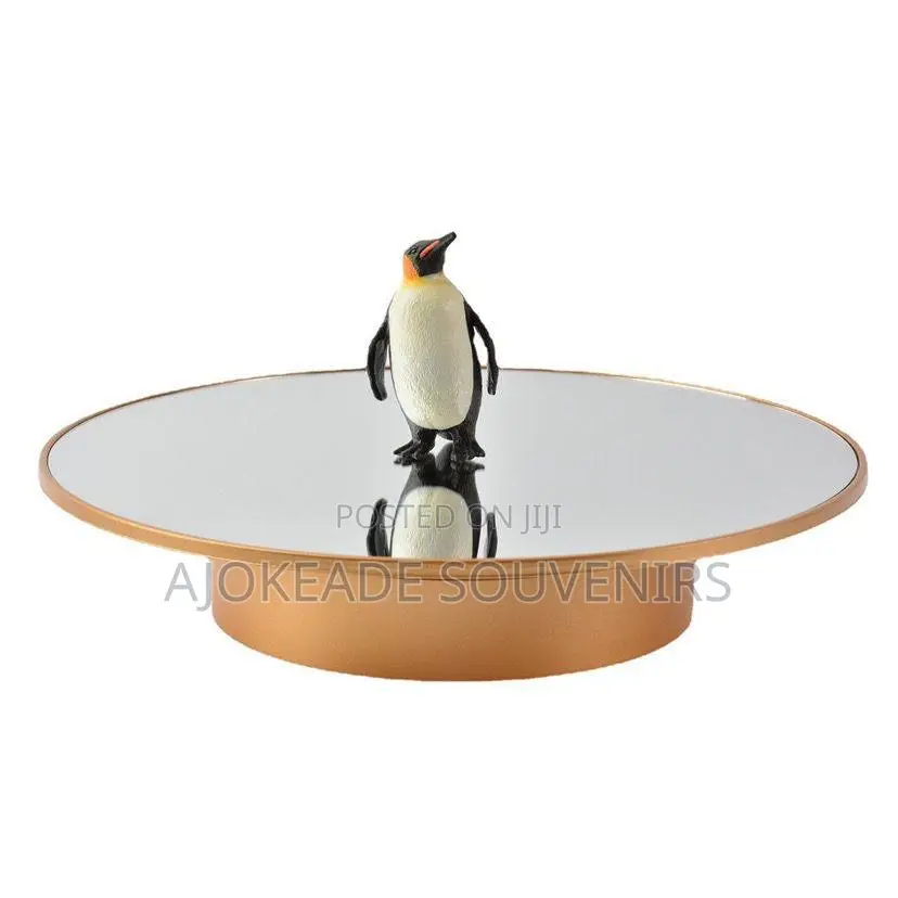 25cm Turntable Available