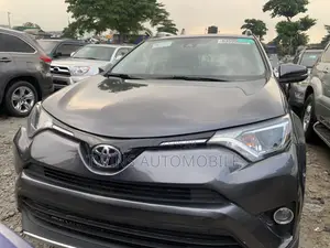 Toyota RAV4 XLE AWD (2.5L 4cyl 6A) 2017 Gray
