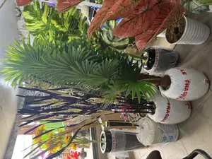 Home Flowers