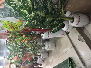 Home Flowers