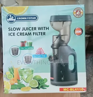 Electric Slow Juicer With Ice Cream Filter