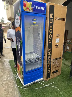 Snowsea 400l Single Door Showcase Chiller Lc-400