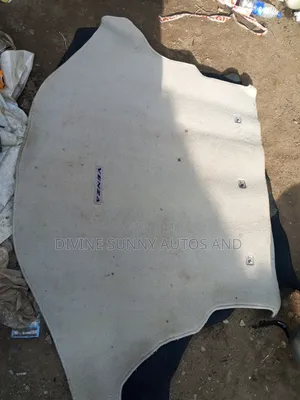 Venza 2010 Boot Mat