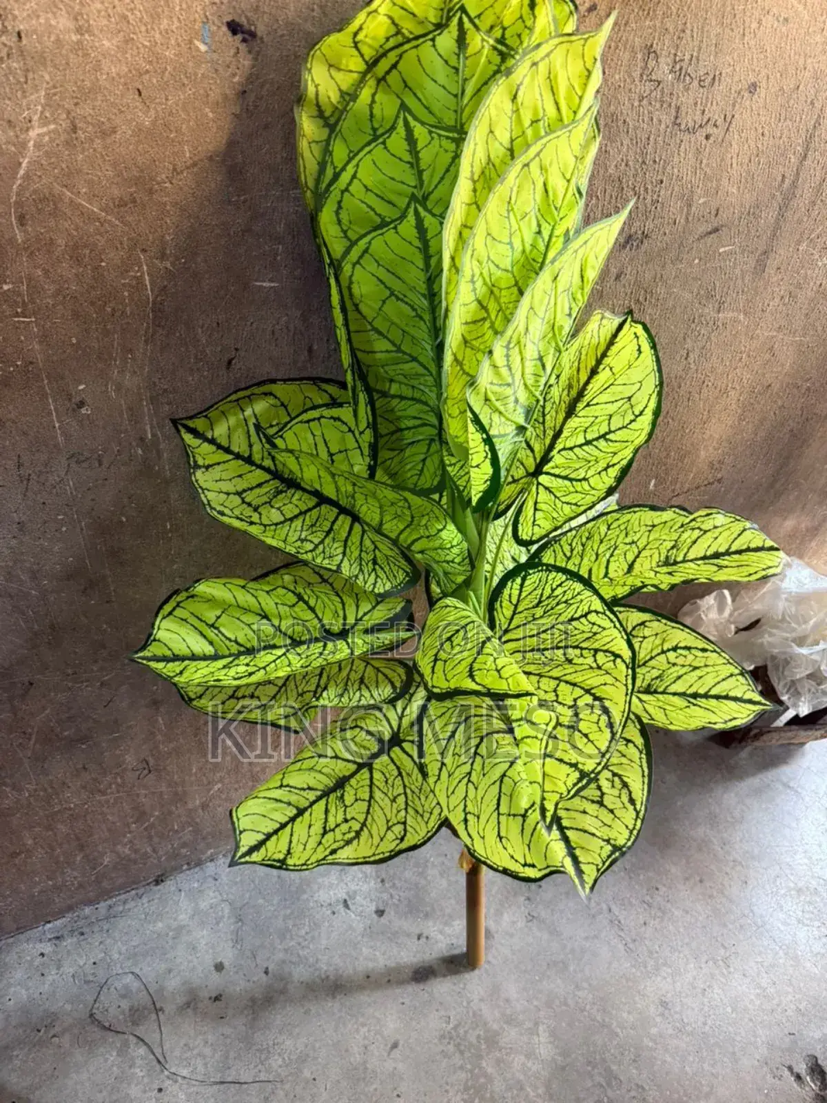 Artificial Plant Available as Seen