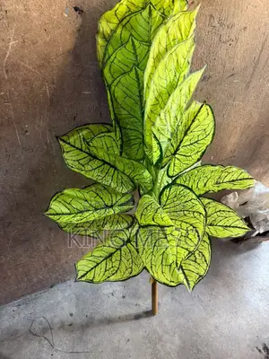 Artificial Plant Available as Seen
