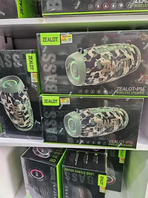P16 Speaker