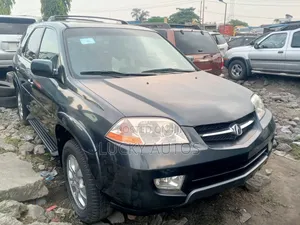 Acura MDX 2004 Gray