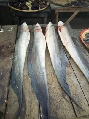 Fresh Sea Fish Assorted