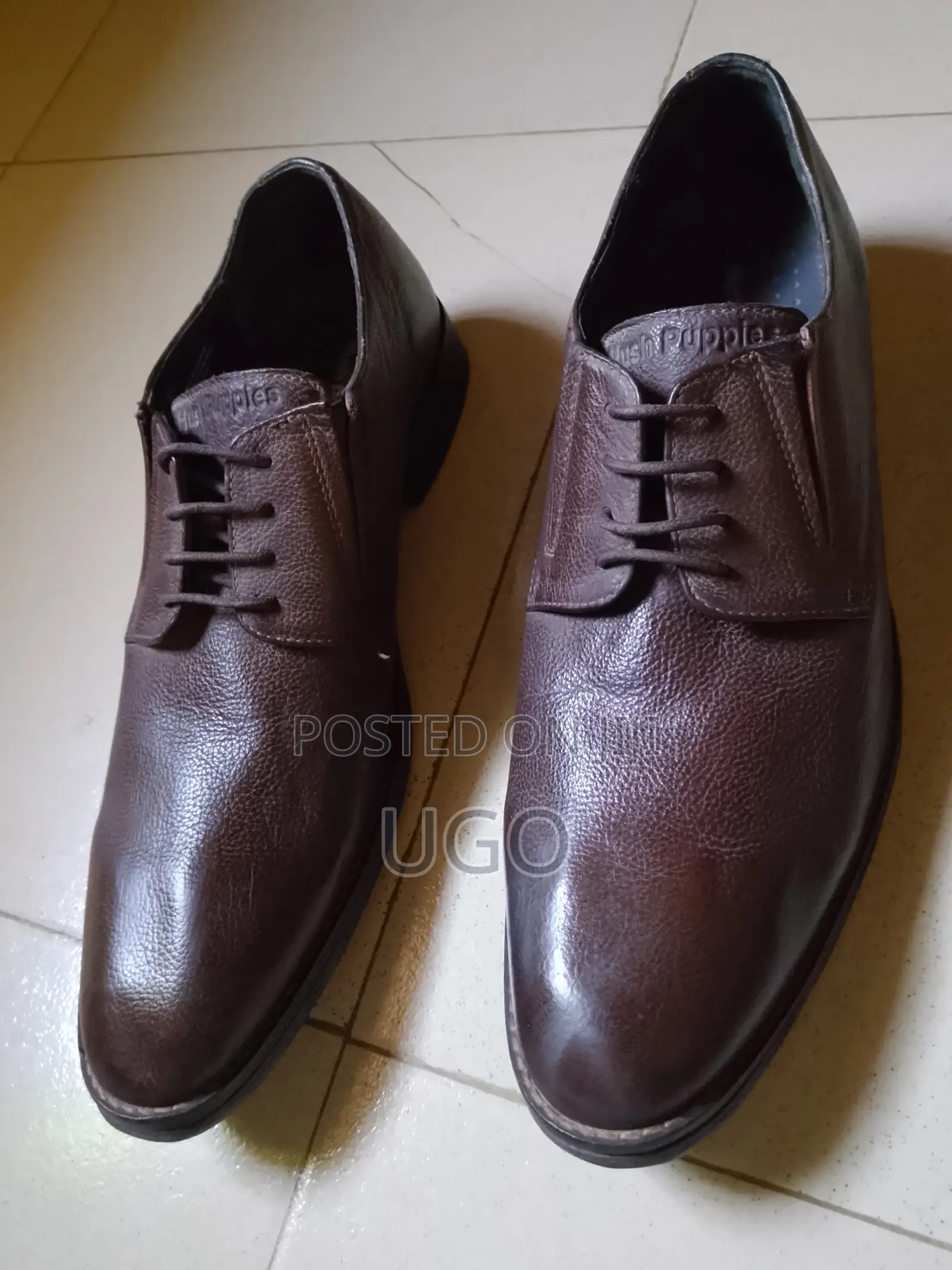 Hush Puppies