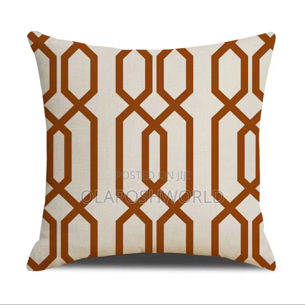 Abstract Modern Throw Pillows