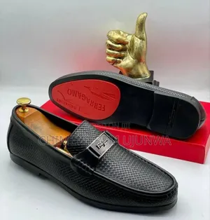 New in Ferragamo Shoe